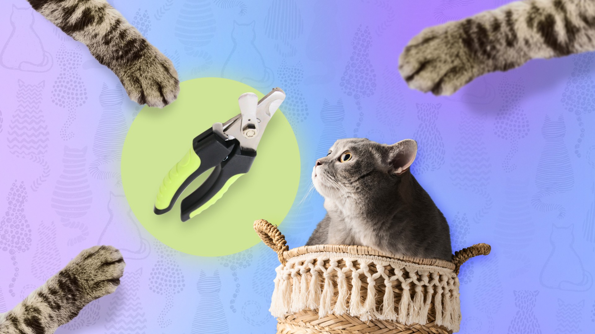 😾Чем опасны для кошки пойманные мыши и крысы