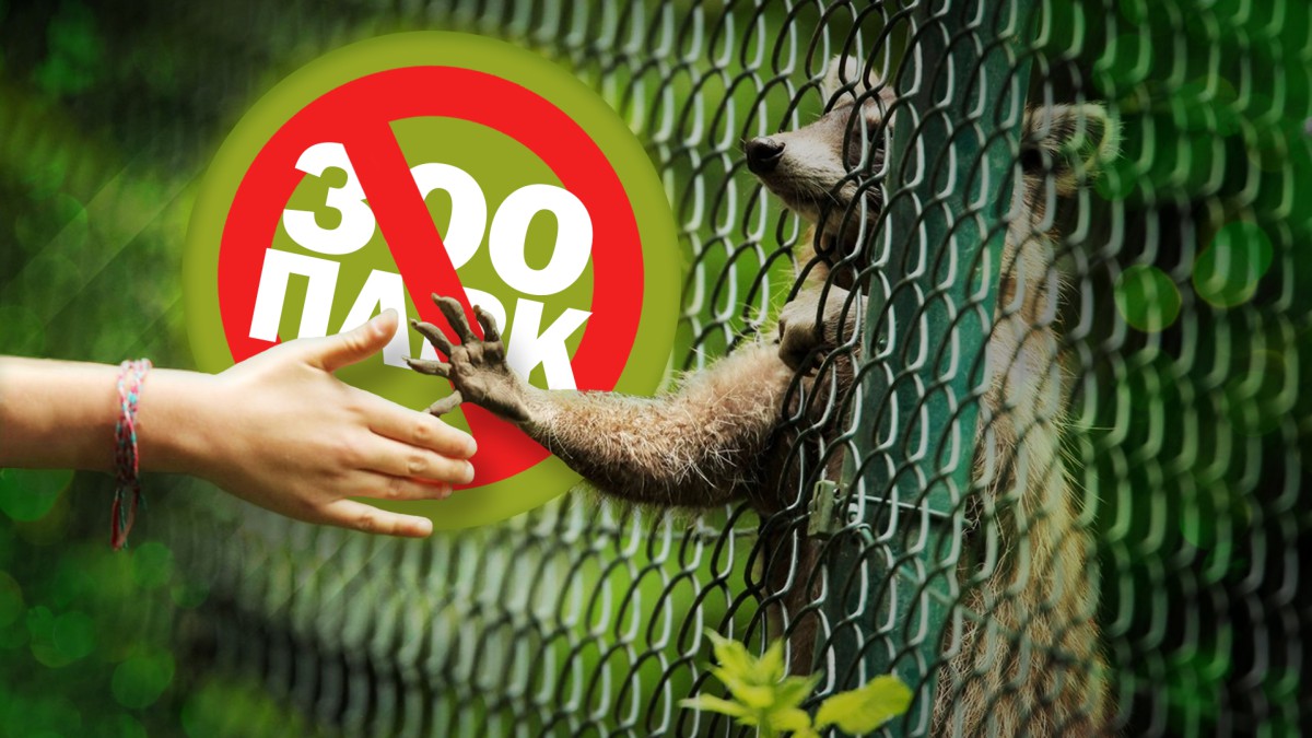 Зоопарки — это польза или вред?