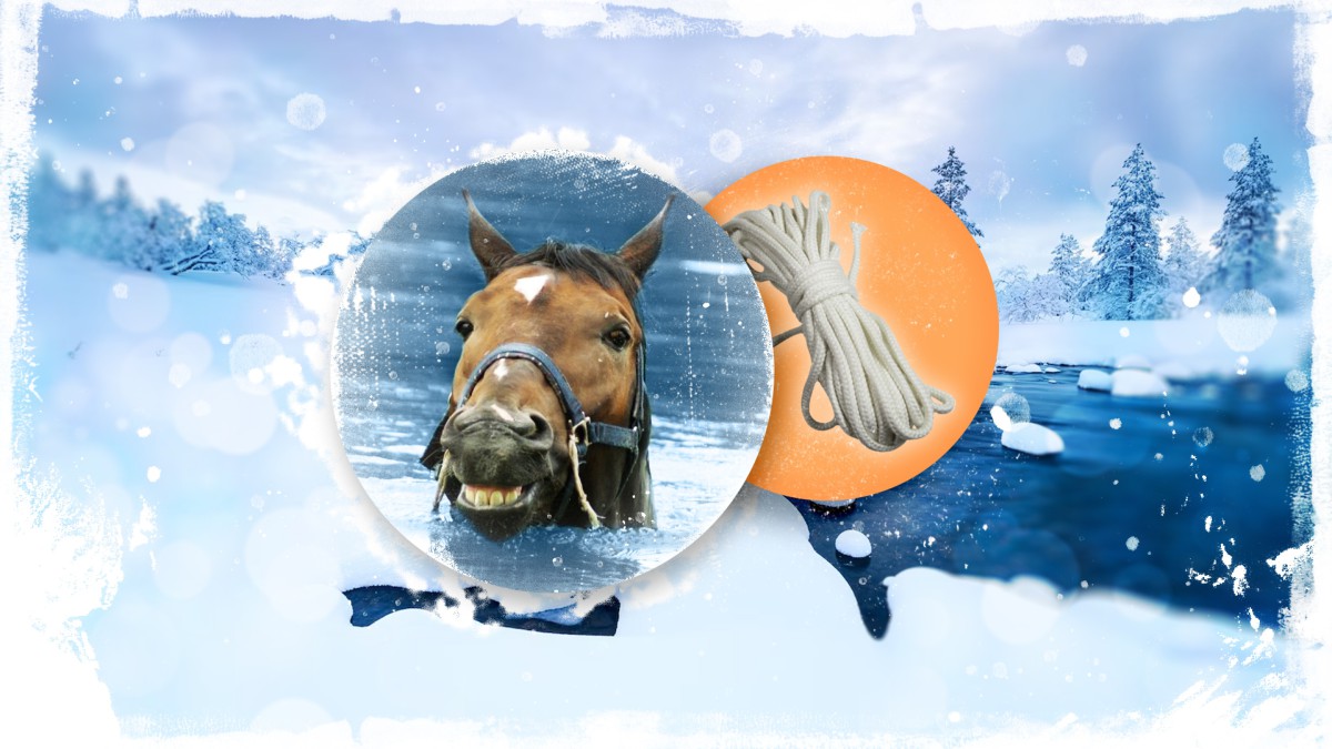 По тонкому льду: удивительное спасение лошади