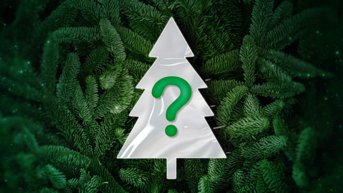 Искусственная или живая: какой елке быть на новогоднем торжестве