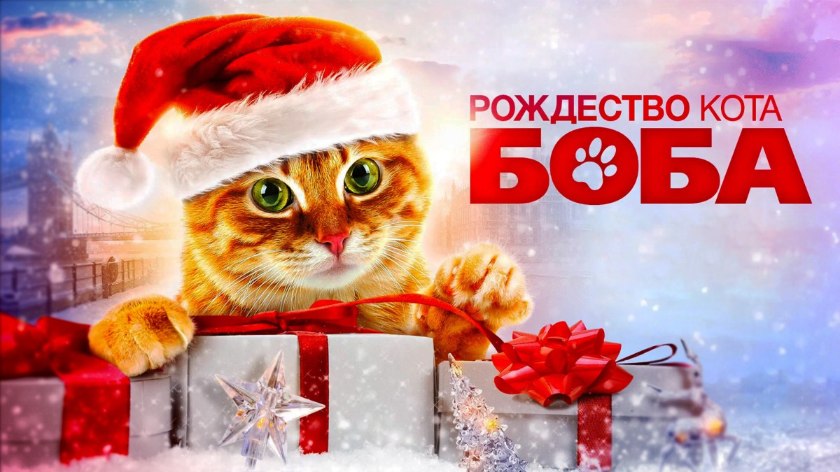 «Рождество кота Боба»: самая милая праздничная история