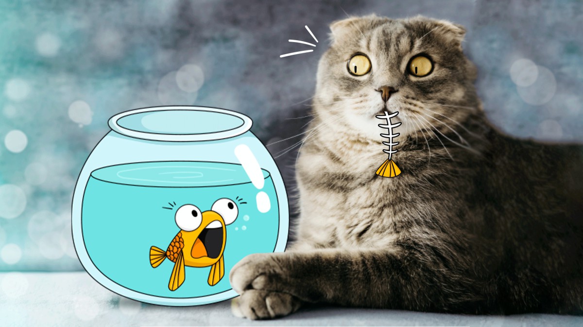 Можно ли кошкам есть рыбу?