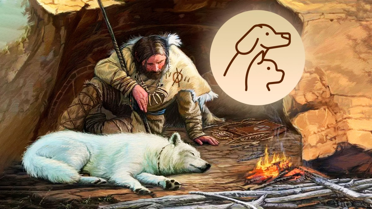 Любовь из древности: топ-10 пород собак, которые выбирали наши предки