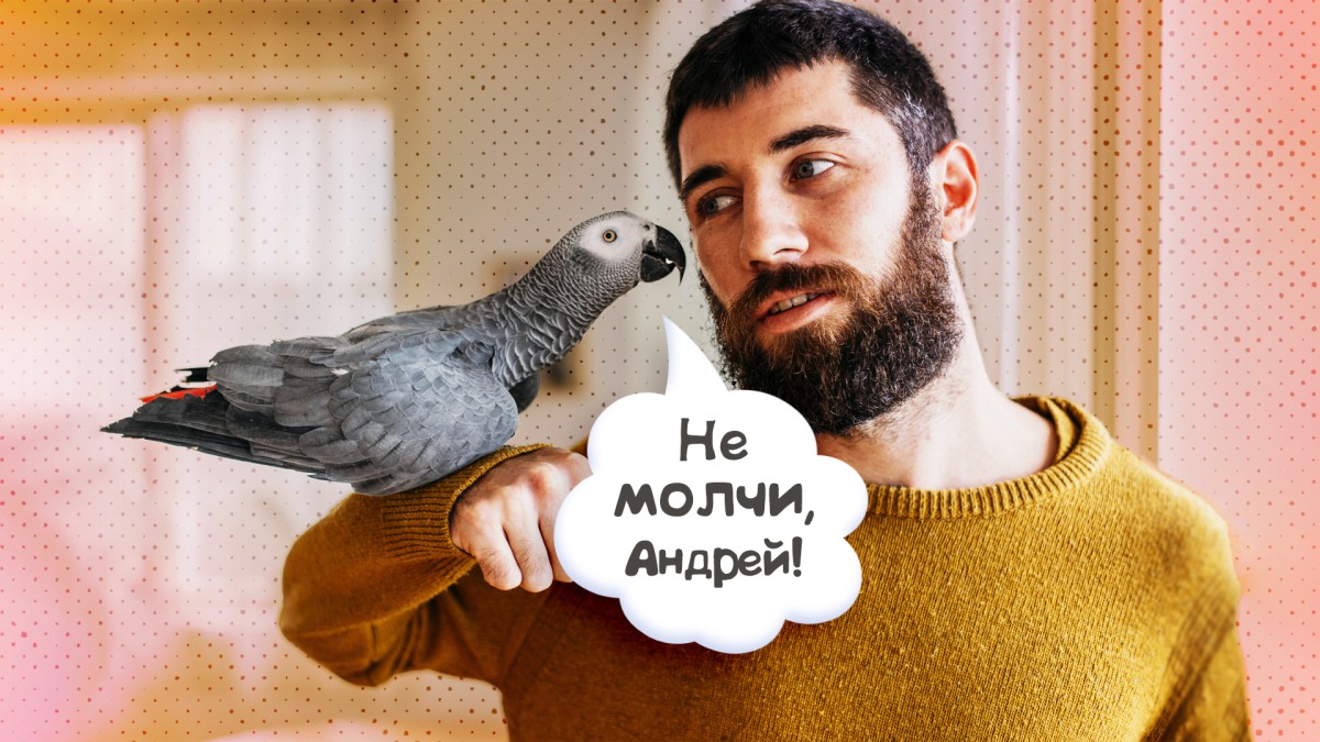 Понимают ли попугаи смысл слов