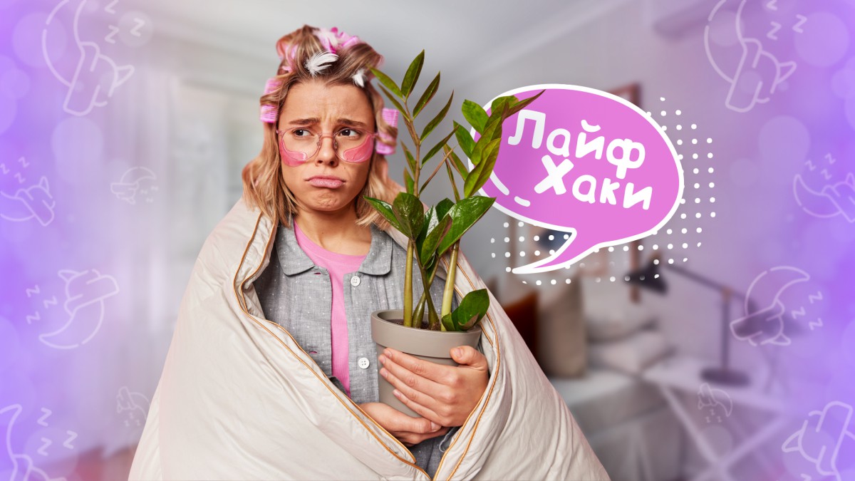 Какое растение поможет нам выспаться