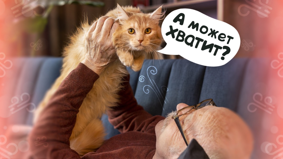 Почему кошки не любит, когда на них дуют?