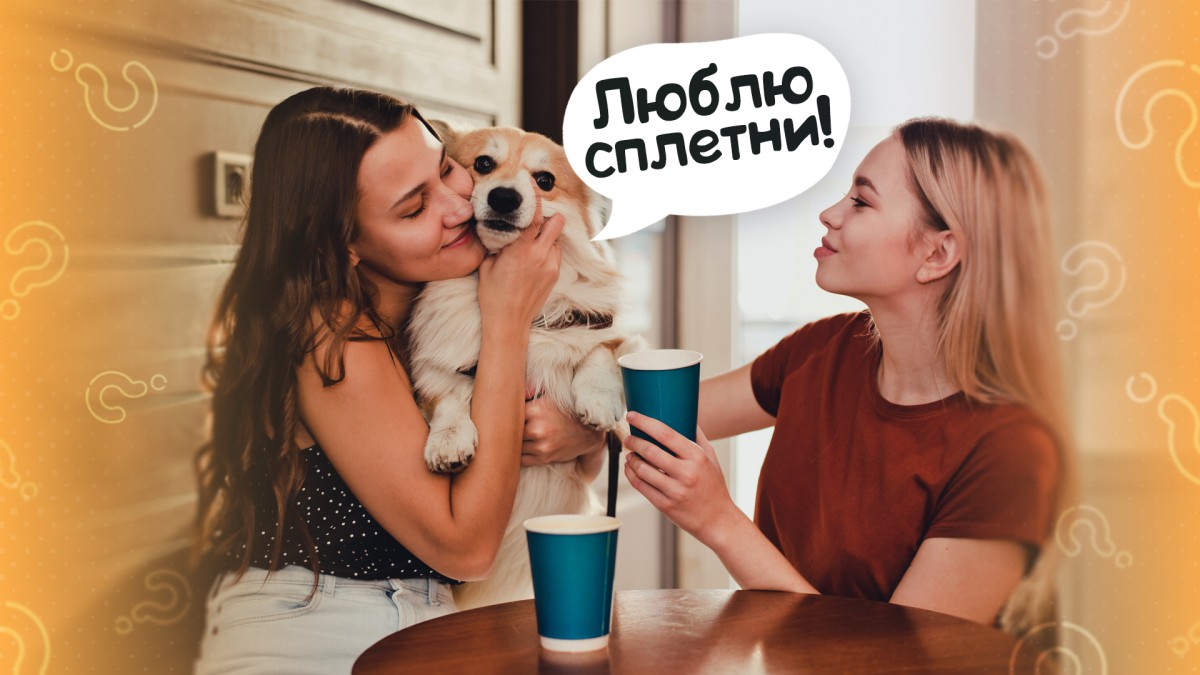 Стоит ли брать собаку с собой в гости: за или против?
