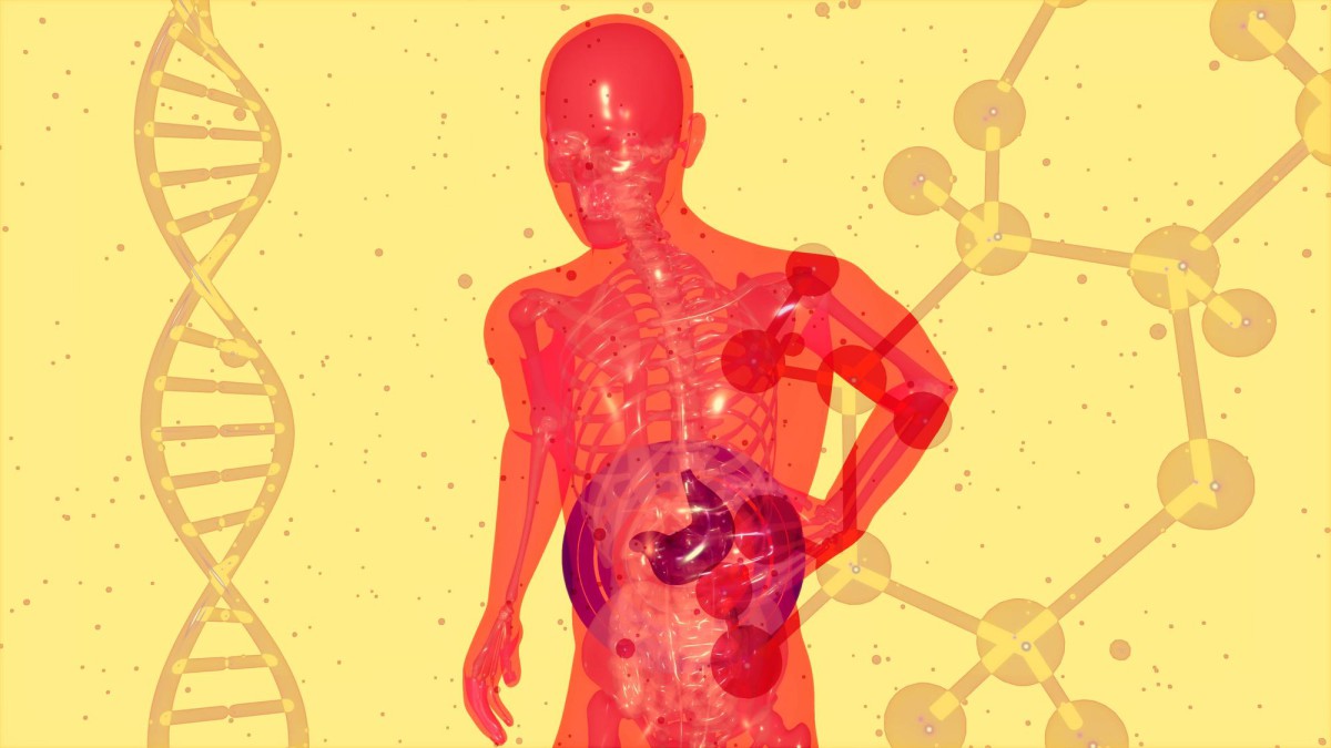 Почему груши могут быть вредны: мнение врача