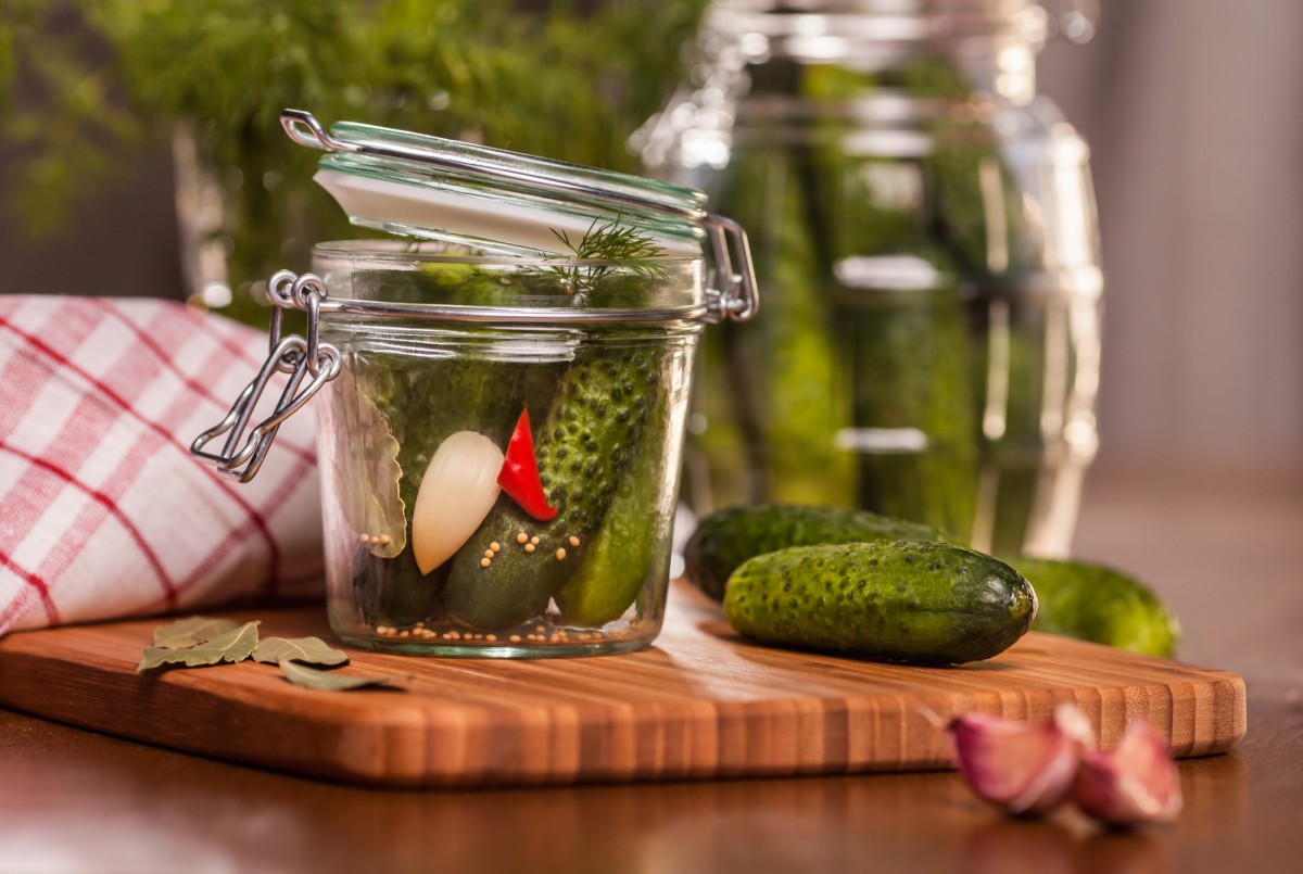 Холодная засолка огурцов: как сделать вкусную заготовку за час