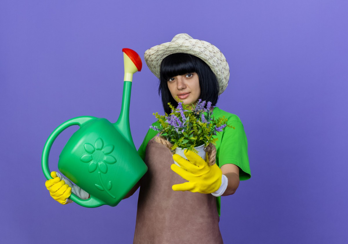 Как дачнику не упустить момент: важные июльские процедуры