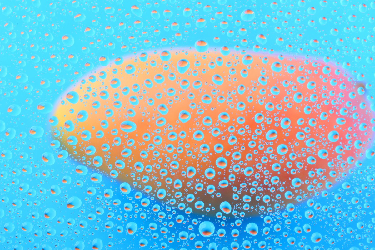 Устраняем зловонный запах с губки: копеечный раствор творит чудеса!