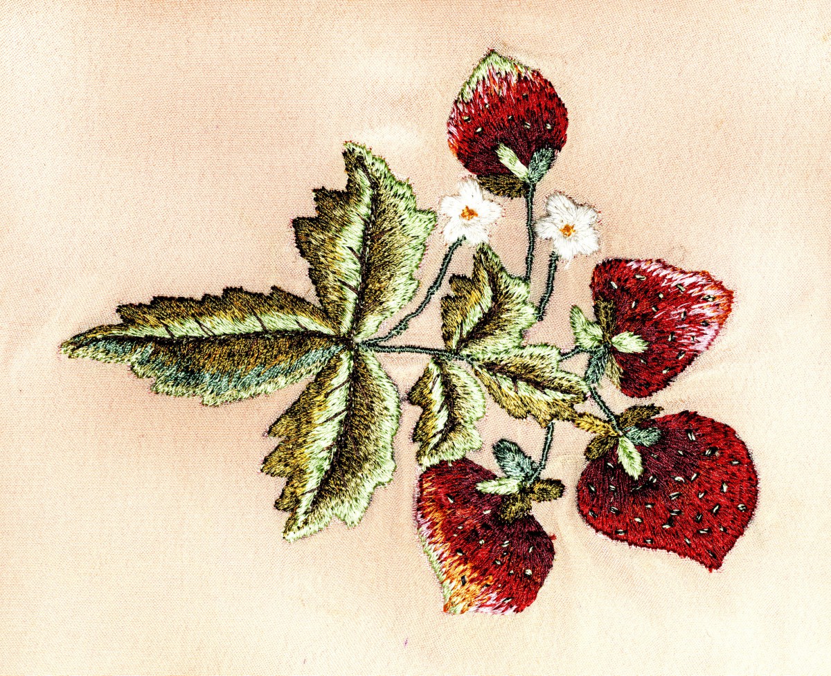 Как спасти урожай клубники от гниения: простой способ от агронома