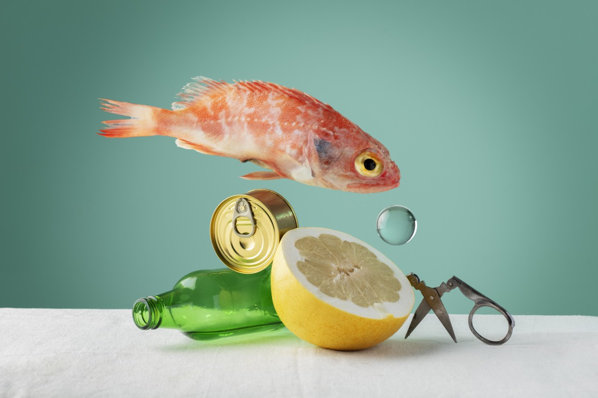 Осторожно, ртуть в рыбе! Какие виды под запретом