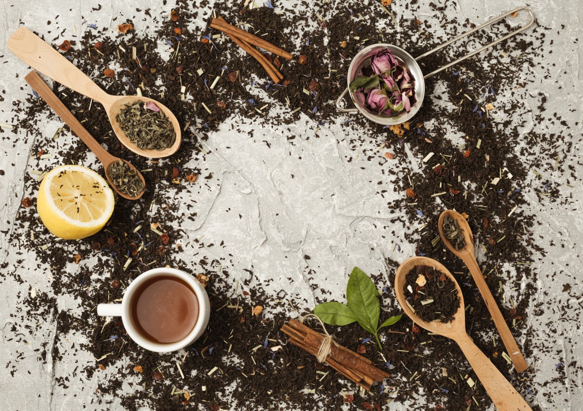 Кофейная гуща для рассады: секрет опытных дачников