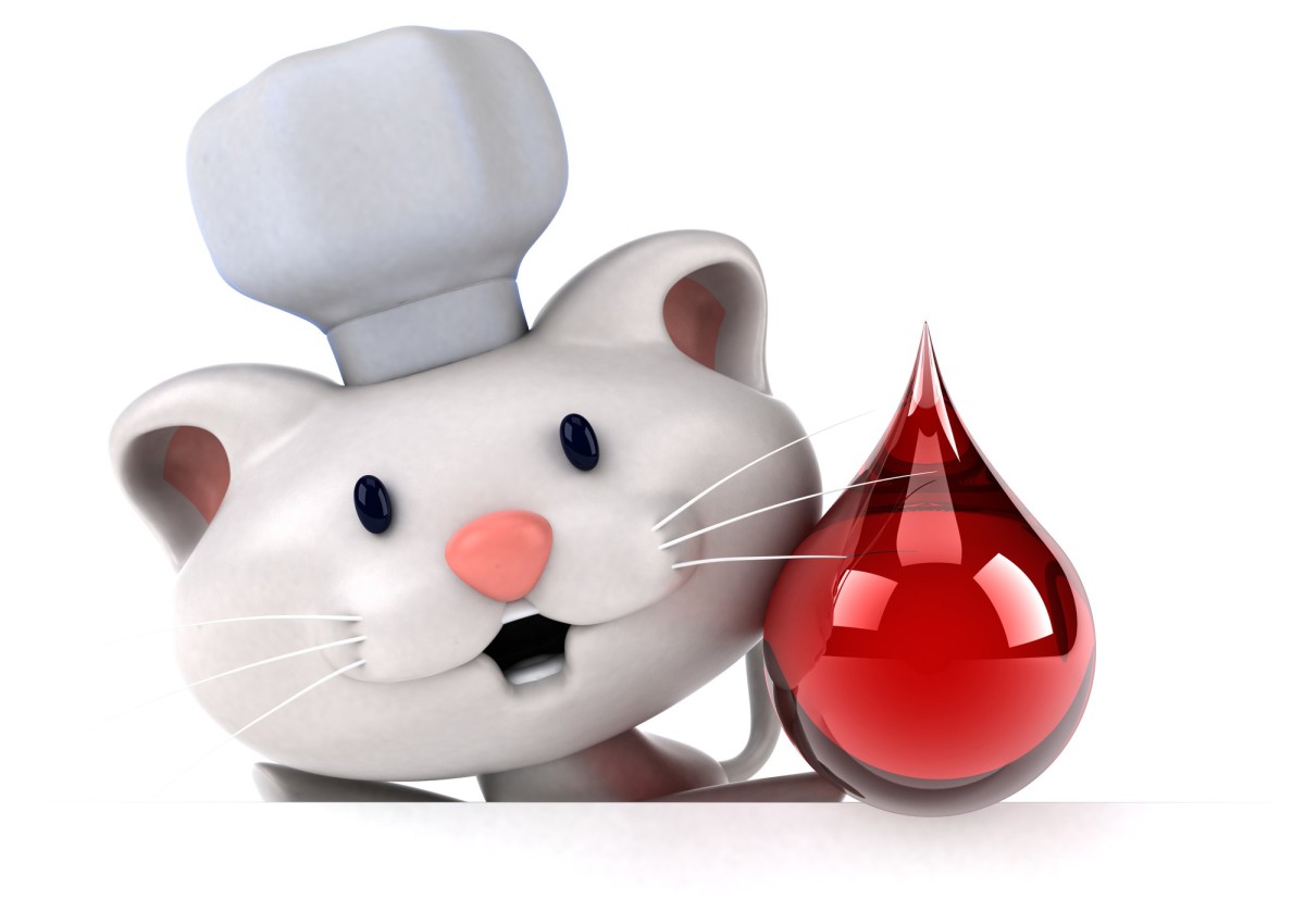 Как избавиться от запаха кошачьей мочи: простое и эффективное средство!