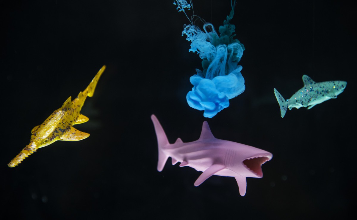 Как быстро и легко почистить рыбу: секреты опытных рыбаков