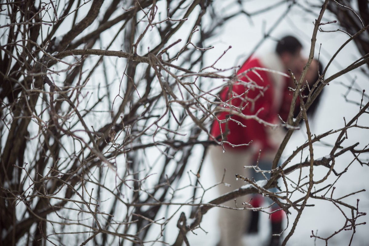 Обрезка деревьев зимой: когда и как это делать?