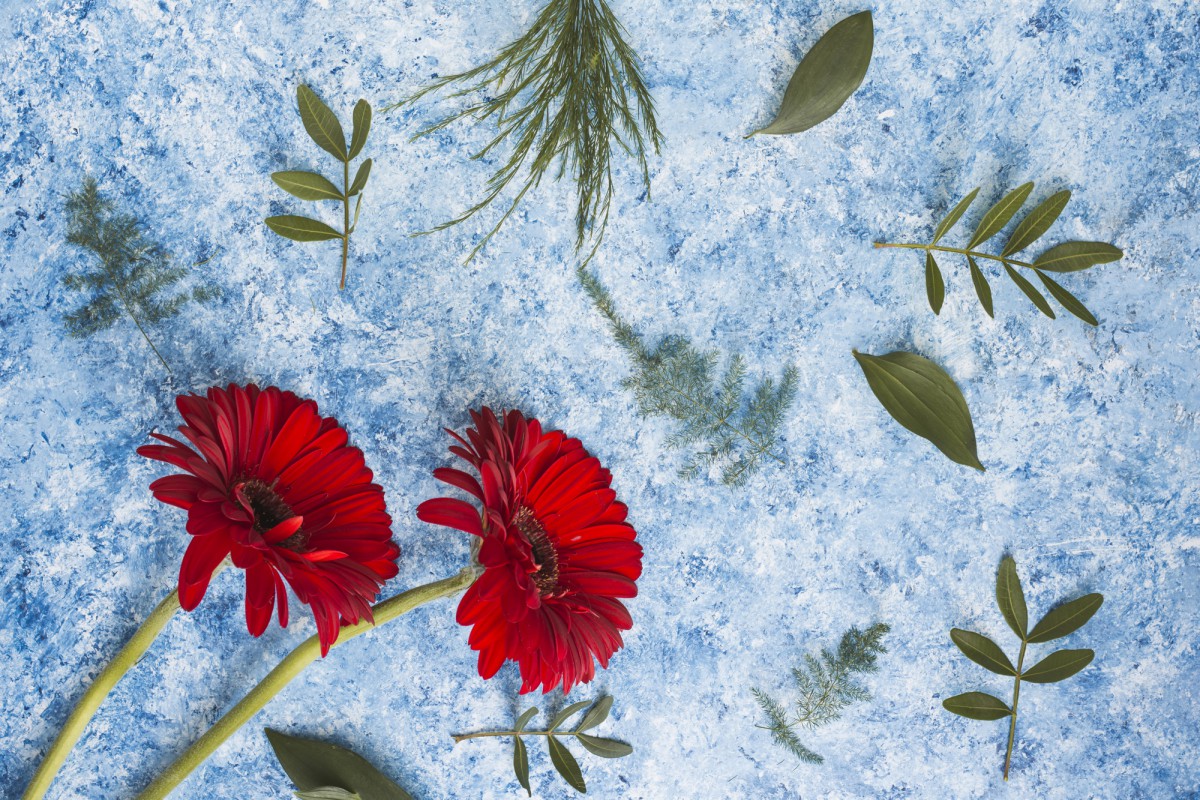 Зимний посев: какие растения можно посадить на грядки под снег