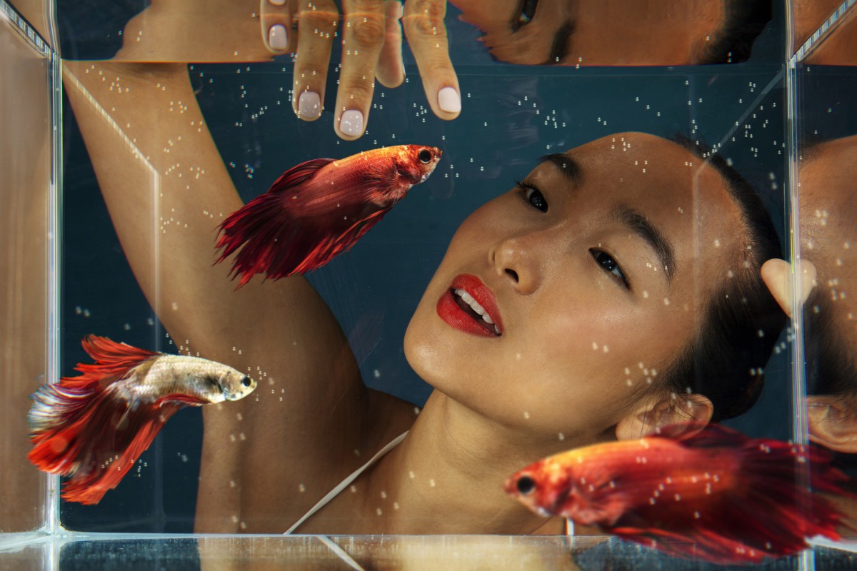 Как выбрать качественный минтай: советы для хозяек