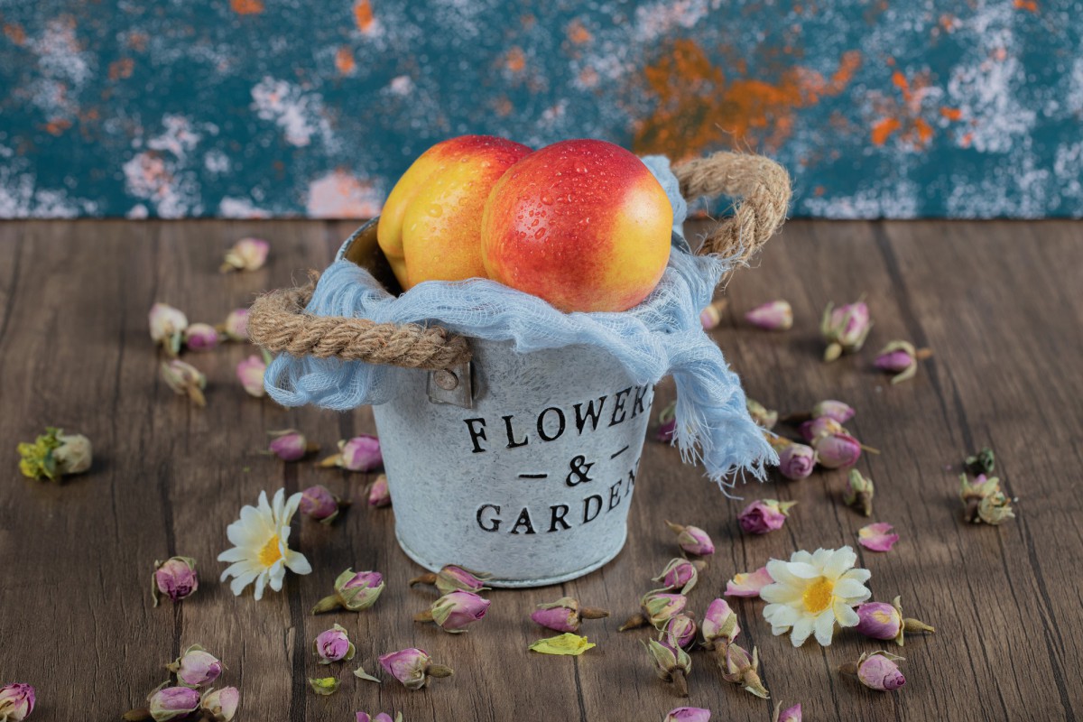 Как спасти яблоню от плодожорки: срочные меры для здоровья дерева