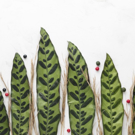 Секреты использования тёрки: как быстро отделить листья от стеблей зелени