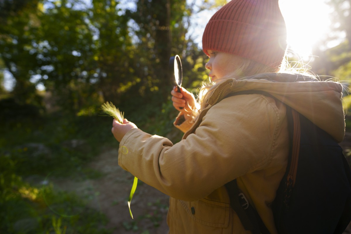 Как не потеряться в лесу: советы спасателя для безопасного похода