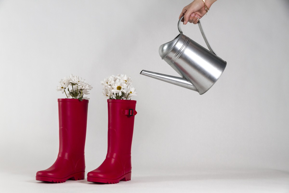 Как правильно поливать фиалку