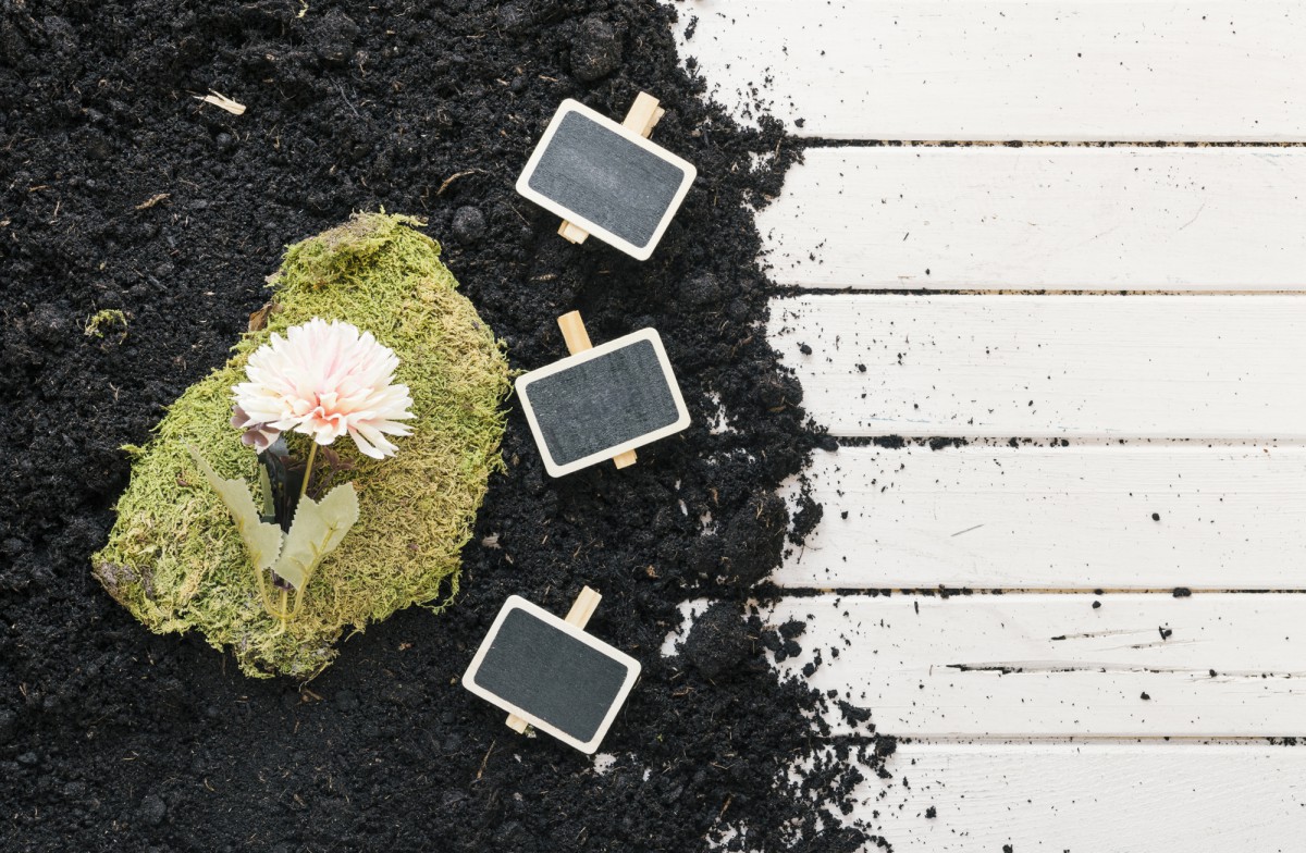 Секреты советских агрономов: доломитовая мука для здоровой рассады