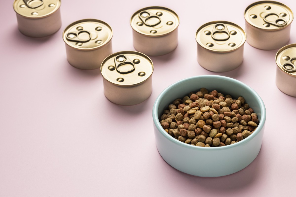 Разоблачение мифов: какой кошачий корм действительно хорош?