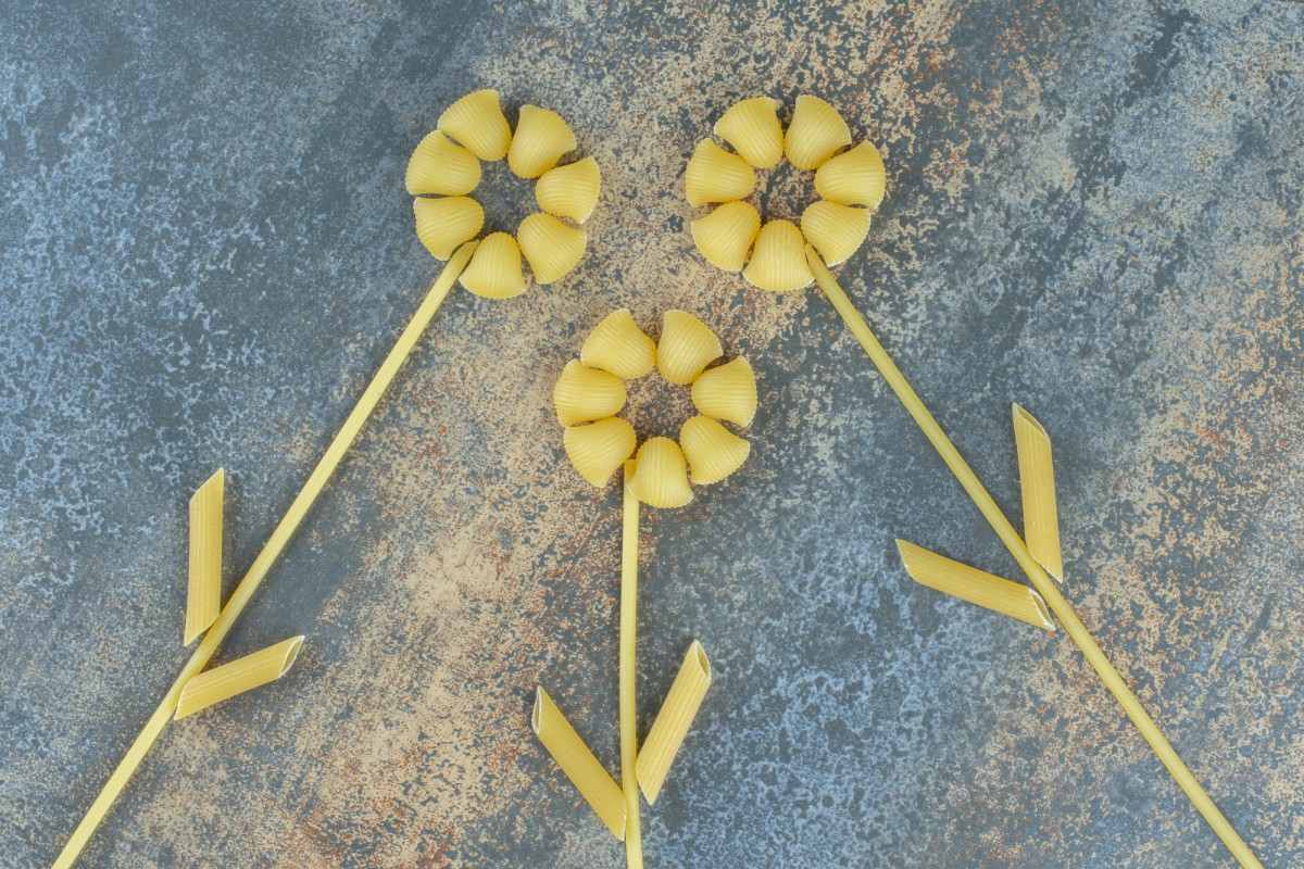 Почему кабачки не цветут: главные ошибки и как их исправить