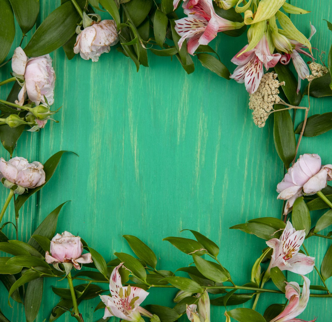 Как сделать флоксы пышными: секреты весенней подкормки