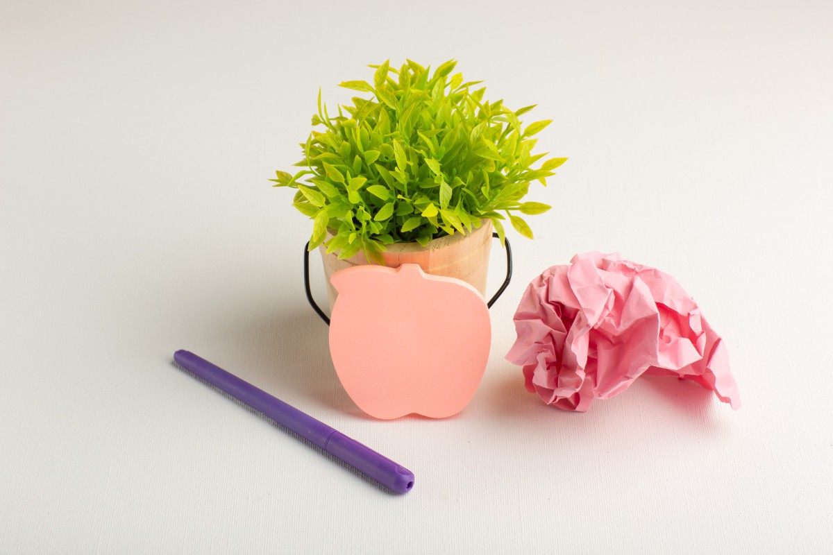 Овсянка для цветов: бюджетный способ вернуть растениям жизнь