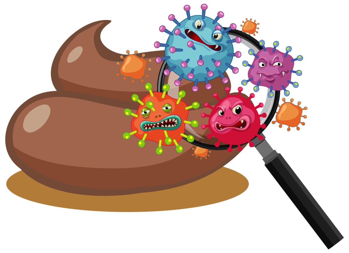 Почему важно закрывать крышку унитаза: шокирующая правда