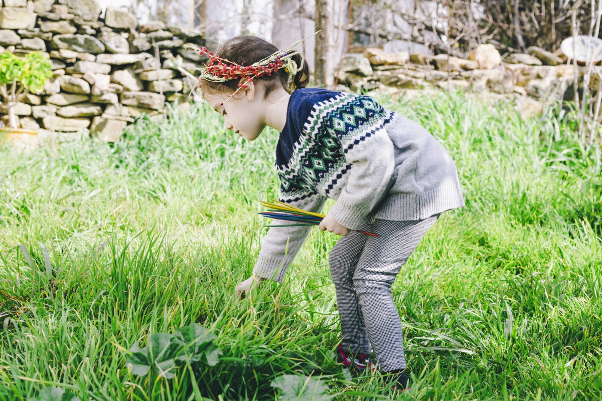 Как избавиться от сорняков без перекопки: секрет опытных дачников