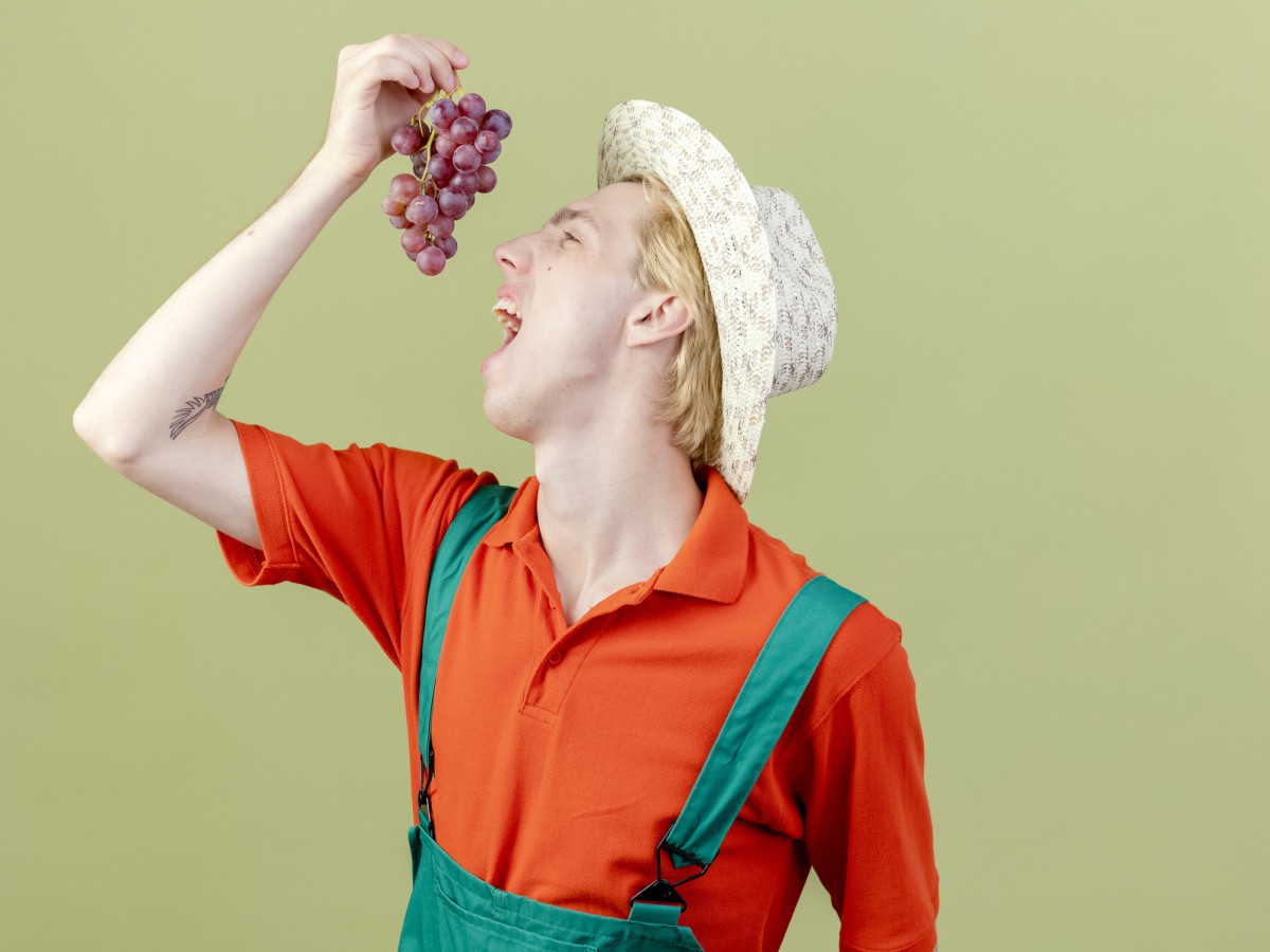 Как быстро отделить виноград от веточки: простой лайфхак