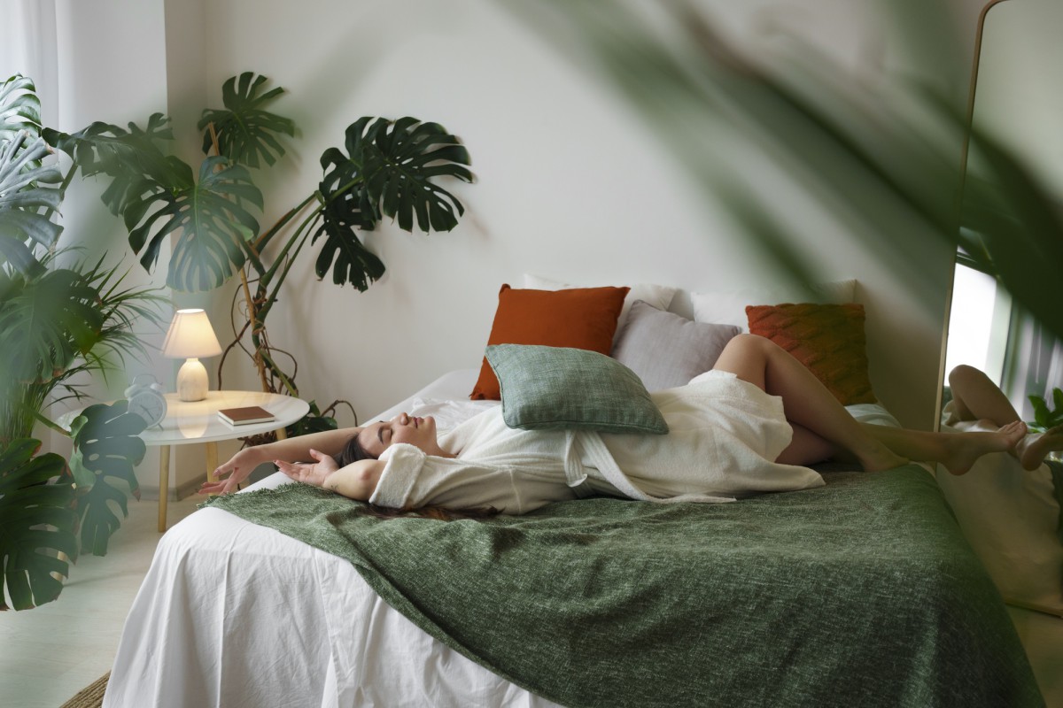 Растения для спальни: ваш путь к здоровому сну