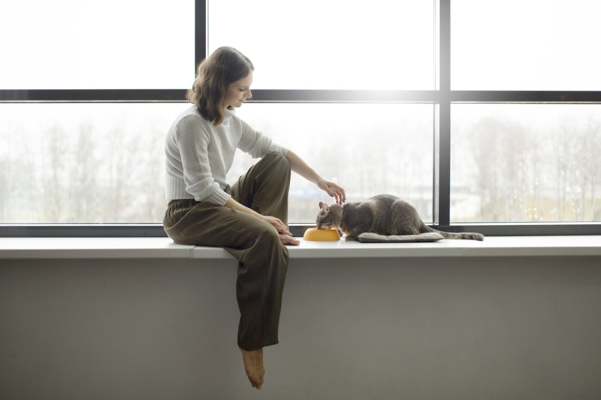 Хитрость с носками и кошачьим наполнителем: копеечное решение проблемы запотевших окон