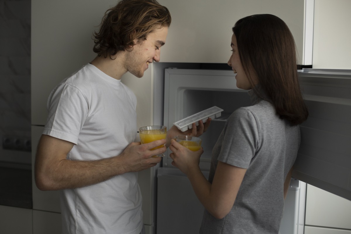 Как поступить с холодильником, если уезжаете надолго