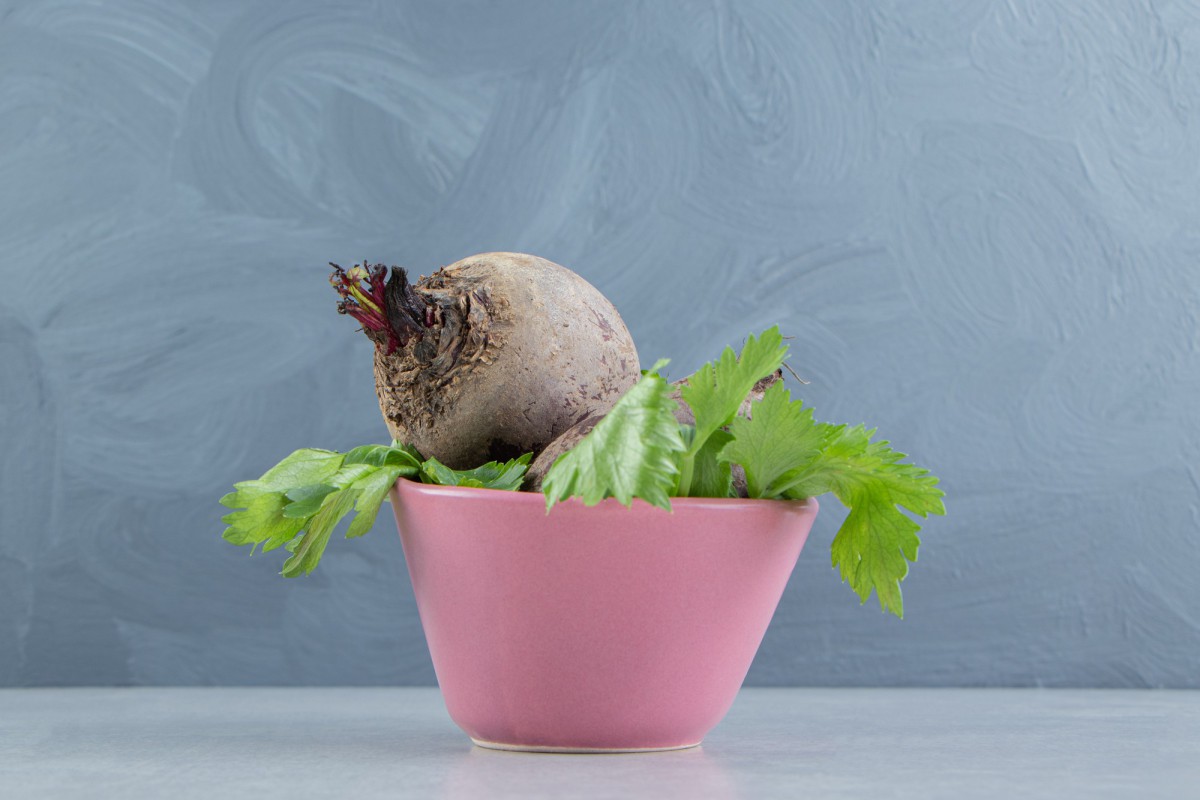 Как превратить хилый замиокулькас в роскошное растение под потолком