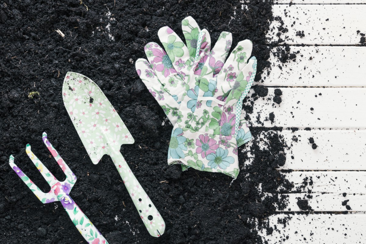 Как быстро и безопасно обеззаразить покупной грунт от вредителей