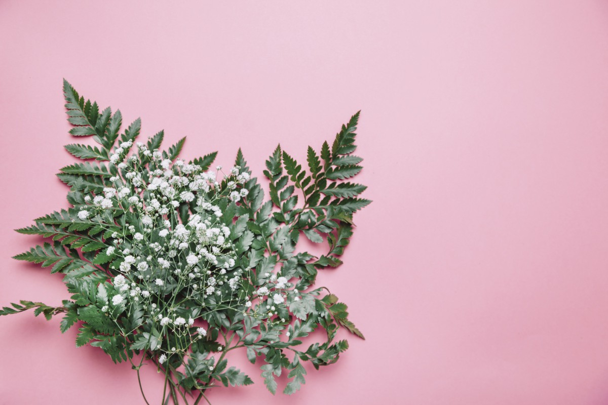 Лучшие почвопокрывные растения для мульчирования: секреты дачников