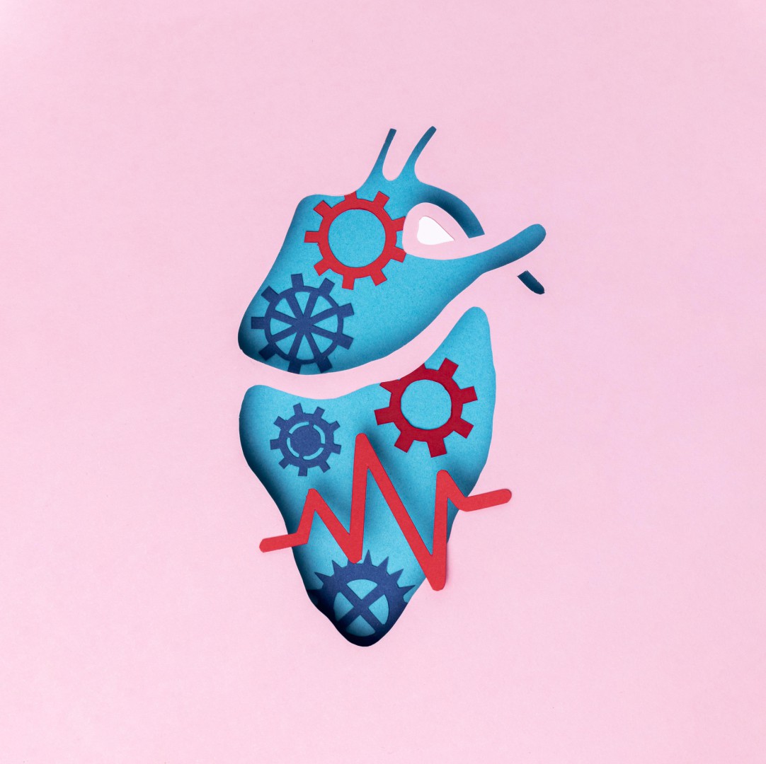 Почему важно вовремя лечить зубы: связь с другими органами