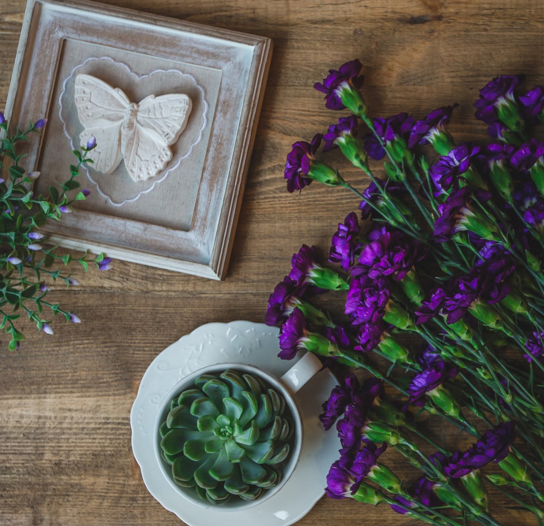 Секреты осеннего ухода за фиалками: забудьте про подкормки!