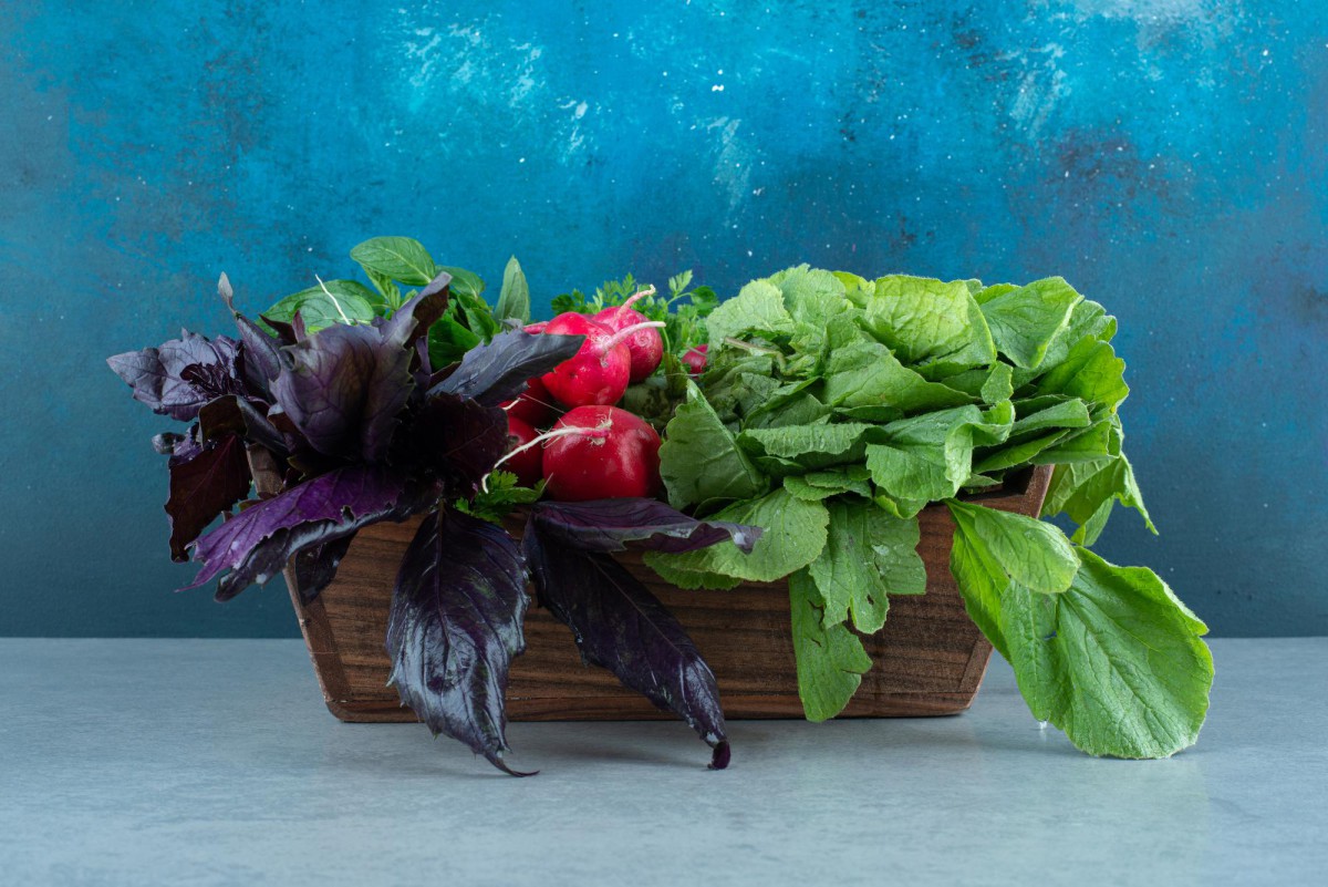 Как вырастить сладкий салат в июле: секреты опытных садоводов