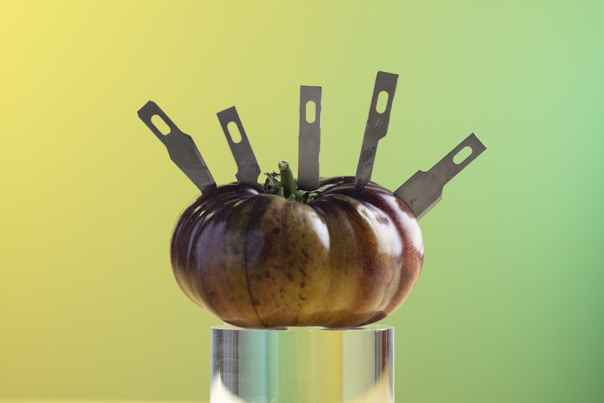 Тайны советской кухни: незаменимые помощники, которые до сих пор в моде