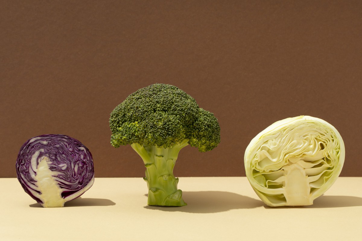 Лучшие сорта кабачков для богатого урожая: минимум ухода, максимум результата