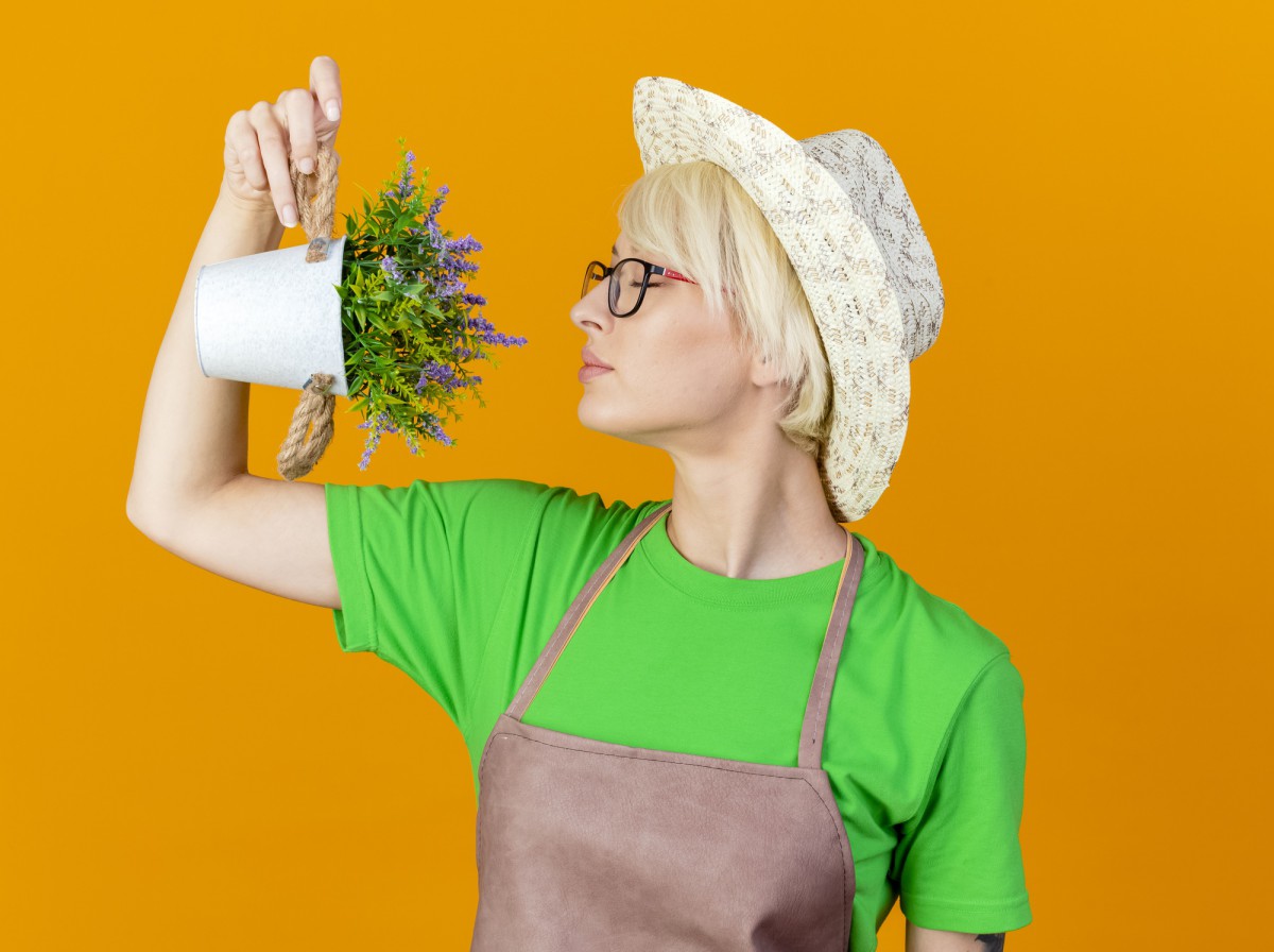 Лимонная кислота — секретное оружие дачников: оживляем растения и стимулируем рост