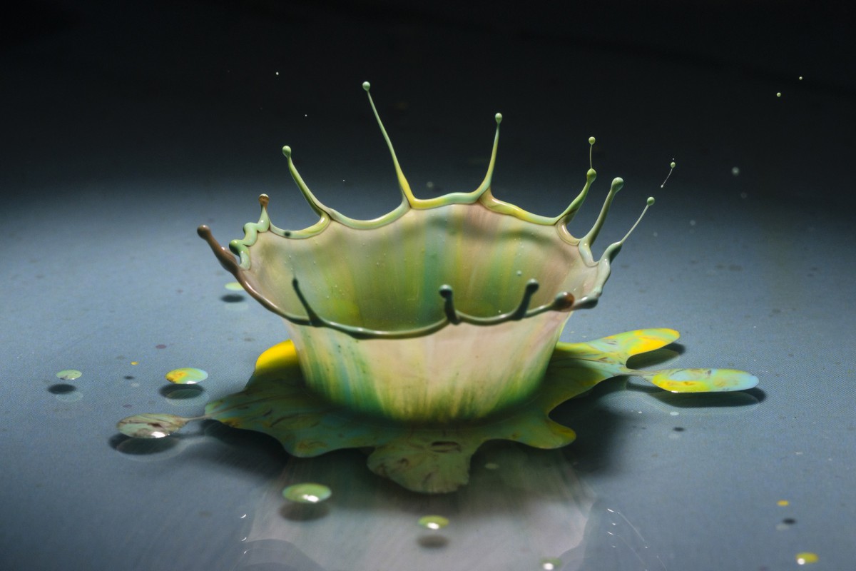 Почему подкормка мёдом может погубить ваши комнатные растения