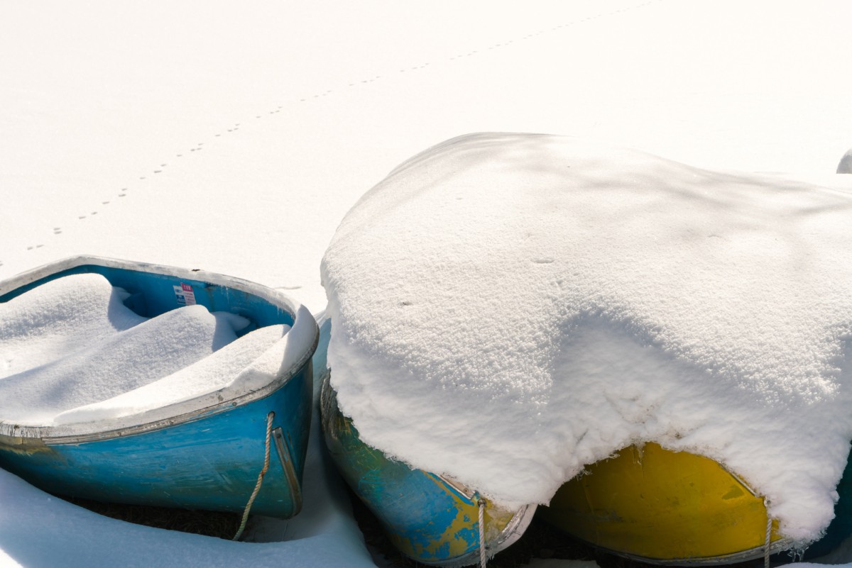 Как легко освежить ковёр без химчистки