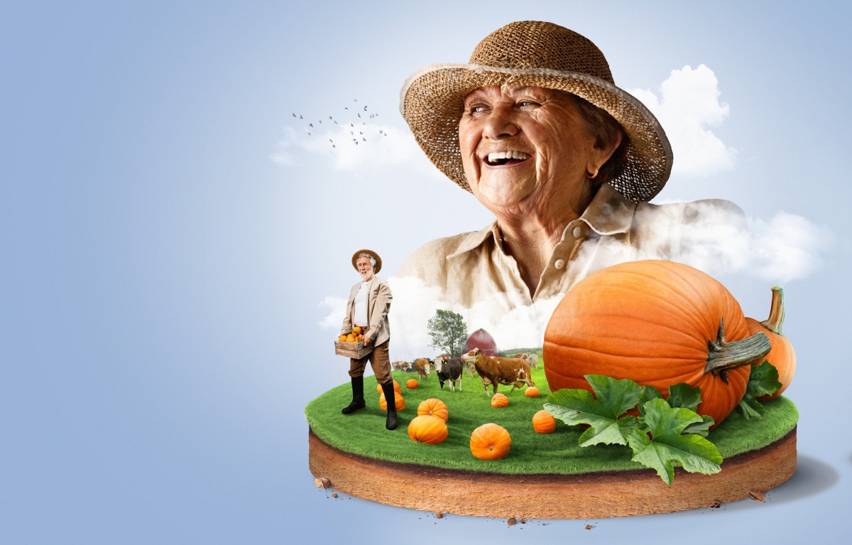 Осенний уход за грядками: секреты без перекопки